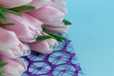 Bouquet of pink tulips for the holidays. Women's Day, Valentine's Day, name day. On a blue background.