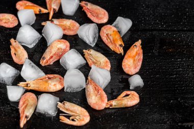Shrimp spread between ice cubes. Freeze on a black wooden background.