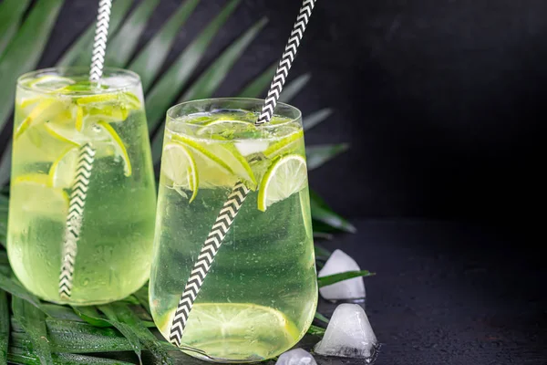 Mojito in a large transparent glass with lime and mint leaves and ice cubes. In the background are palm branches. On a black wooden background. — Zdjęcie stockowe