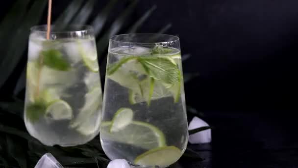 Mojito Large Transparent Glass Lime Mint Leaves Ice Cubes Background — Stock Video