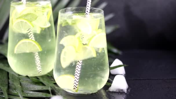 Mojito Egy Nagy Átlátszó Pohár Lime Menta Levelek Jégkockák Háttérben — Stock videók