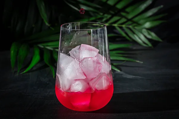 Bevanda di lampone-crespino in un bicchiere trasparente con ghiaccio. La bevanda viene versata in un bicchiere. Aggiunti rami di palma e lamponi. Fondo nero . — Foto Stock