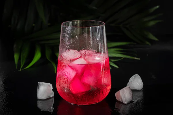 Raspberry-barberry drink in a transparent glass with ice. The drink is poured into a glass. Added palm branches and raspberries. Black background. — Stockfoto