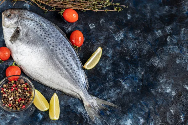 Море вкусная свежая рыба на темном фоне. Замороженный продукт. Рыба с ароматическими травами, специями и овощами - понятие здорового питания, диеты или приготовления пищи . — стоковое фото