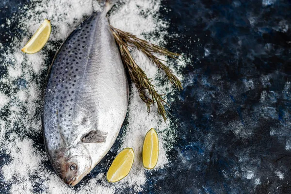 Море вкусная свежая рыба на темном фоне. Замороженный продукт. Рыба с ароматическими травами, специями и овощами - понятие здорового питания, диеты или приготовления пищи . — стоковое фото