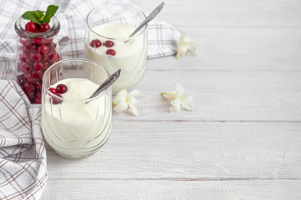 Homemade Yogurt Two Glasses Light Wooden Background Decorated Mint Cranberry — Stock Photo, Image