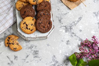 Çikolata parçacıklı kurabiye. Ev yapımı pişirme. Yuvarlak, büyük değil. Açık gri arka planda. Boşluğu kopyala