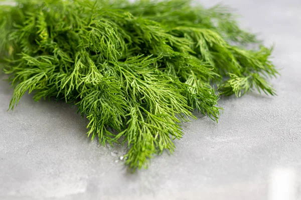 Fresh Greens Salad Parsley Dill Good Health Gray Background Warehouse — Stock Photo, Image