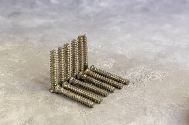 Çelik vidalar, çeşitli uzunlukta ve kalınlıkta krom metal vidalar. Yeşil yapraklı gri bir arka planda. Boşluğu kopyala