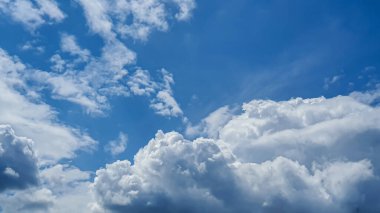 Bulutlu mavi gökyüzü, uçan kuşlar ve yeşil dallar. Boşluğu kopyala.