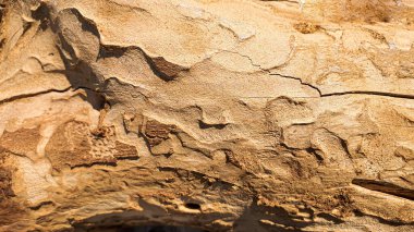Eski kırsal ahşap yüzey. Arkaplan ve inşaat tahtaları. Kahverengi doku. Boşluğu kopyala