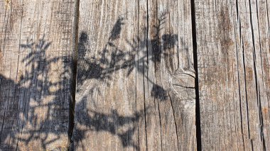 Eski kırsal ahşap yüzey. Arkaplan ve inşaat tahtaları. Kahverengi doku. Boşluğu kopyala