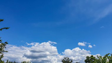 Bulutlu mavi gökyüzü, uçan kuşlar ve yeşil dallar. Boşluğu kopyala.