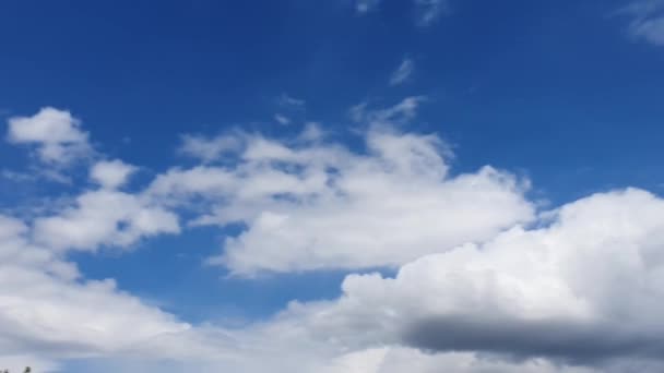 Blauwe Lucht Met Wolken Vliegende Vogels Groene Takken Kopieerruimte — Stockvideo