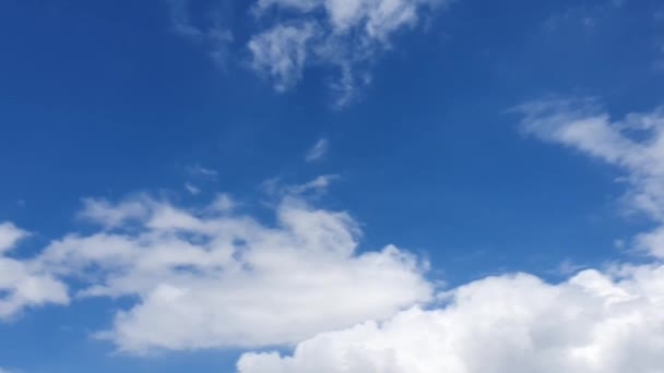 Céu Azul Com Nuvens Pássaros Voadores Ramos Verdes Espaço Cópia — Vídeo de Stock