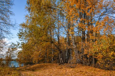 Ekim ayında altın sonbahar