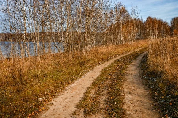 Полевая дорога осенью — стоковое фото