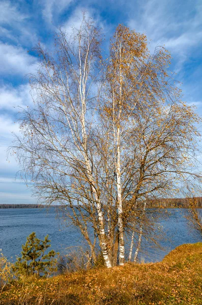 Paysage automne doré — Photo