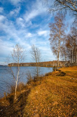 Altın sonbahar manzarası