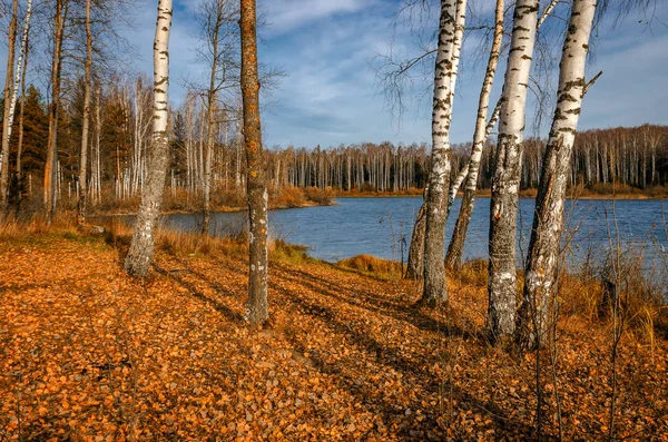 Paisagem na margem do lago — Fotografia de Stock