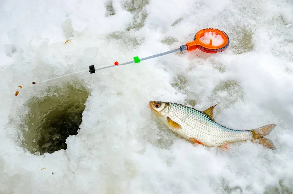 Pesca invernale dal ghiaccio — Foto Stock