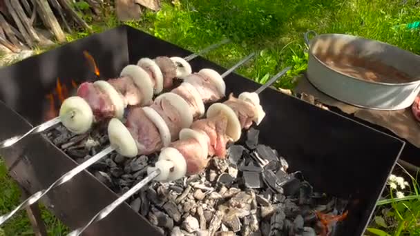 Kebab, daging di atas bara — Stok Video