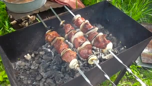Кебаб, м'ясо на вугіллі — стокове відео