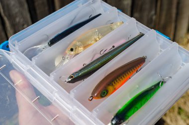 Sallananlarla yırtıcı balık için