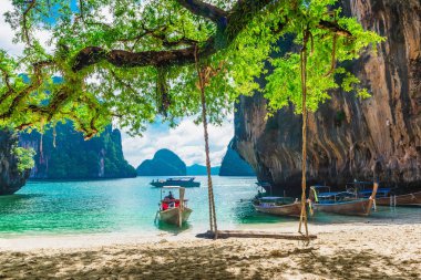 Wooden swing for traveler joy relaxing, Beautiful nature scenic 