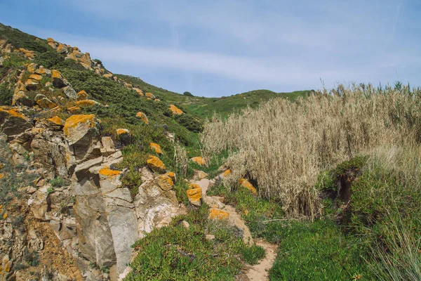 Vacker morgon i Portugal. — Stockfoto