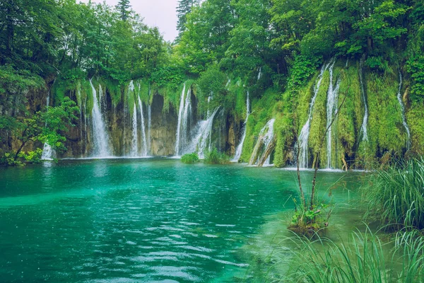Hırvat güzel sabah.