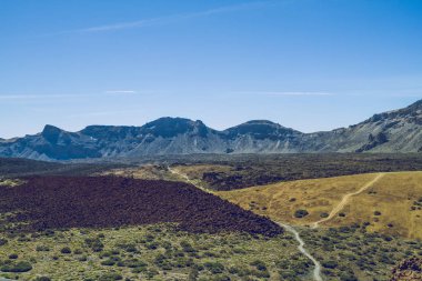 Tenerife güzel sabah.
