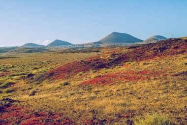 Kanarya Adaları'nda güzel bir akşam.