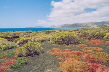 Kanarya Adaları'nda güzel bir akşam.