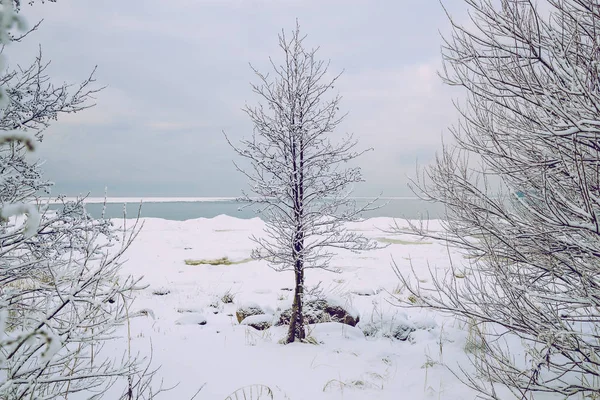 Winterzeit an der Ostsee. — Stockfoto