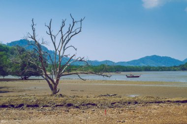 Tayland ada zamanında sabah.