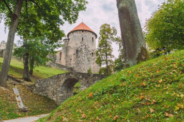 Cesis, Letonya, 2015, sokak görünümü. 