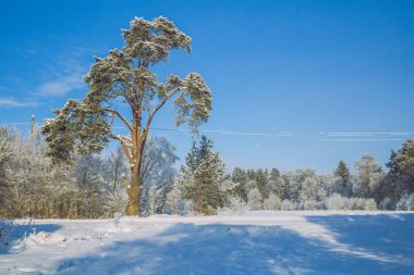 Soğuk kış Letonya.