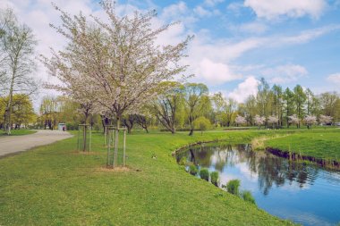 Zafer Parkı, Riga, Letonya, 2017.