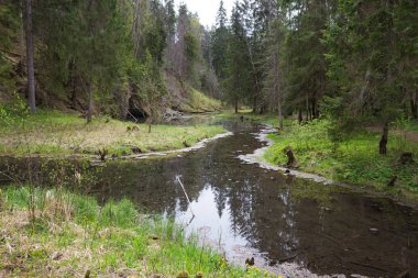 Rock River Gauja Letonya.