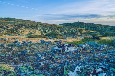 Serra da Estrela Doğal Parkı.