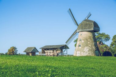 Letonca çayır güneşli sabah. 