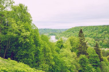 Nehir ve ahşap, Letonya.