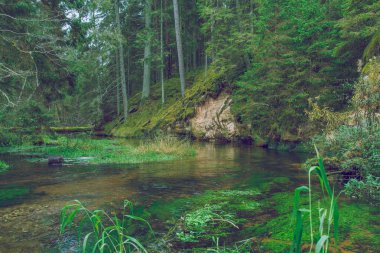 Nehir kırmızı kayalıklarla Letonya ile.
