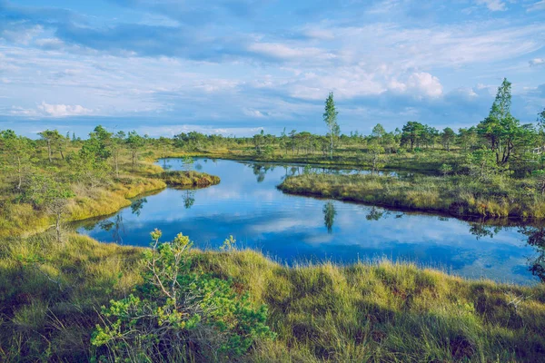 Βάλτο εθνικό πάρκο στη Λετονία. — Φωτογραφία Αρχείου