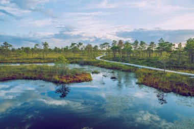 Letonya Ulusal bataklık park.