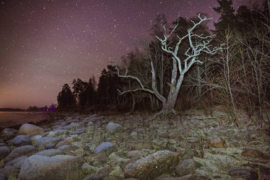 Gece Baltık Denizi. 
