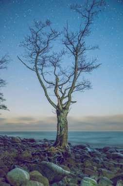 Gece Baltık Denizi. 