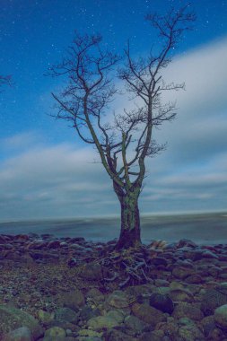 Gece Baltık Denizi. 