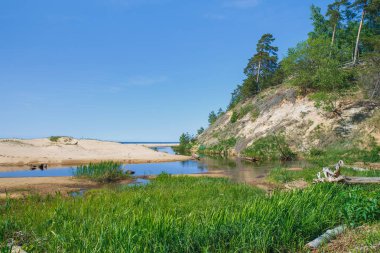 Beyaz dune Saulkrasti, Letonya. 